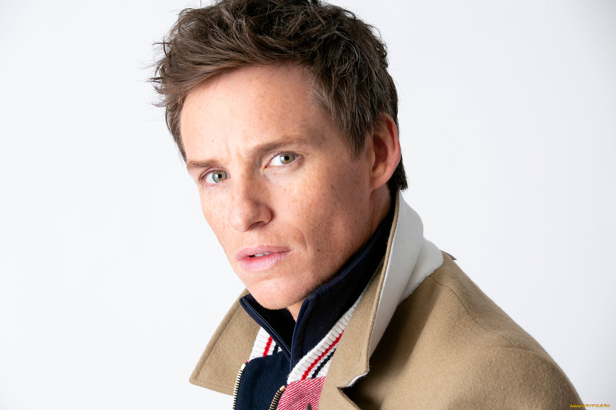 , eddie redmayne, , 